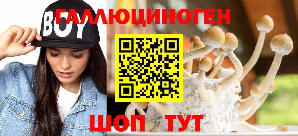 Галлюциногенные грибы мухоморы  Псилоцибиновые грибы мицелий  Вход с VPN  Орехово-Зуево 