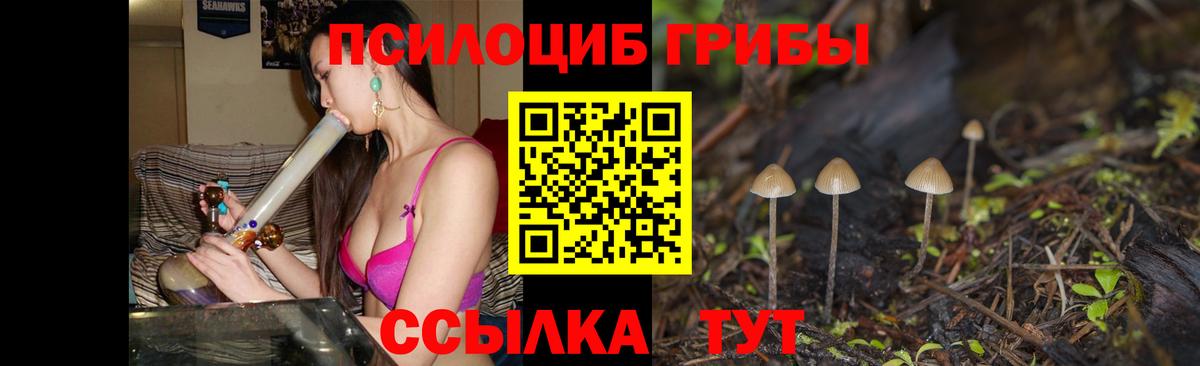 Галлюциногенные грибы мицелий Орехово-Зуево
